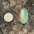 Stone 20