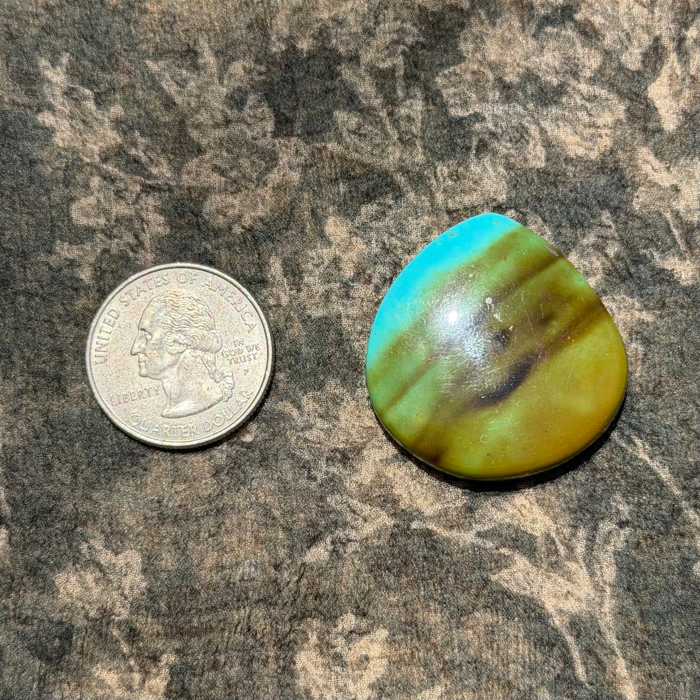 Stone 19